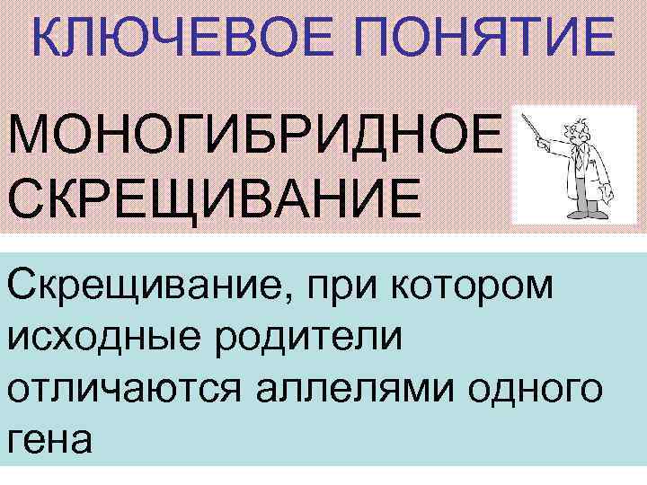 КЛЮЧЕВОЕ ПОНЯТИЕ МОНОГИБРИДНОЕ СКРЕЩИВАНИЕ Скрещивание, при котором исходные родители отличаются аллелями одного гена 