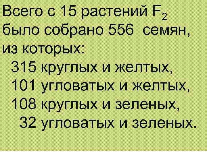 Всего с 15 растений F 2 было собрано 556 семян, из которых: 315 круглых