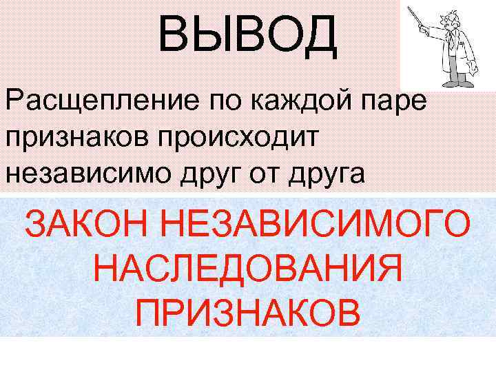 ВЫВОД Расщепление по каждой паре признаков происходит независимо друг от друга ЗАКОН НЕЗАВИСИМОГО НАСЛЕДОВАНИЯ