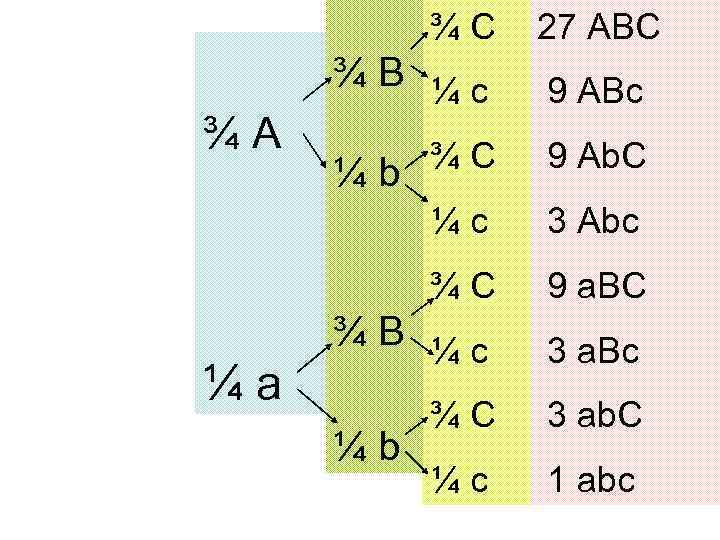 ¾C 27 ABC ¾C 9 Ab. C 3 Abc ¾C ¼a 9 ABc ¼c