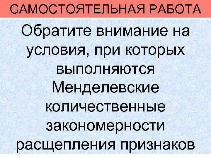 САМОСТОЯТЕЛЬНАЯ РАБОТА Обратите внимание на условия, при которых выполняются Менделевские количественные закономерности расщепления признаков