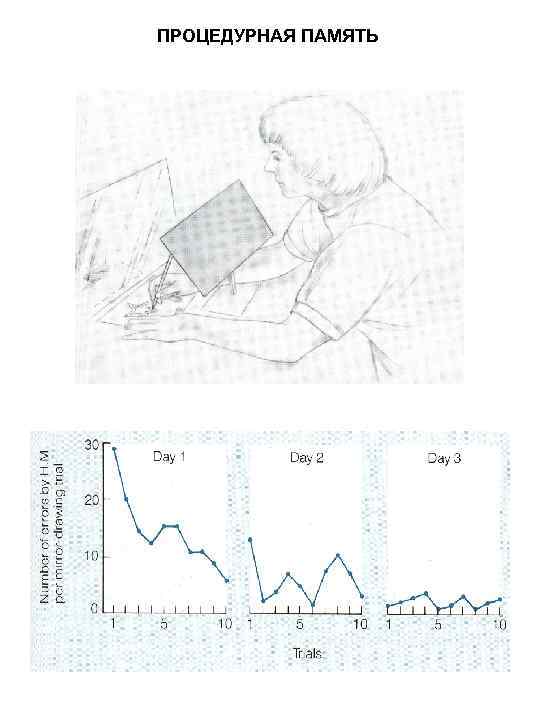 ПРОЦЕДУРНАЯ ПАМЯТЬ 