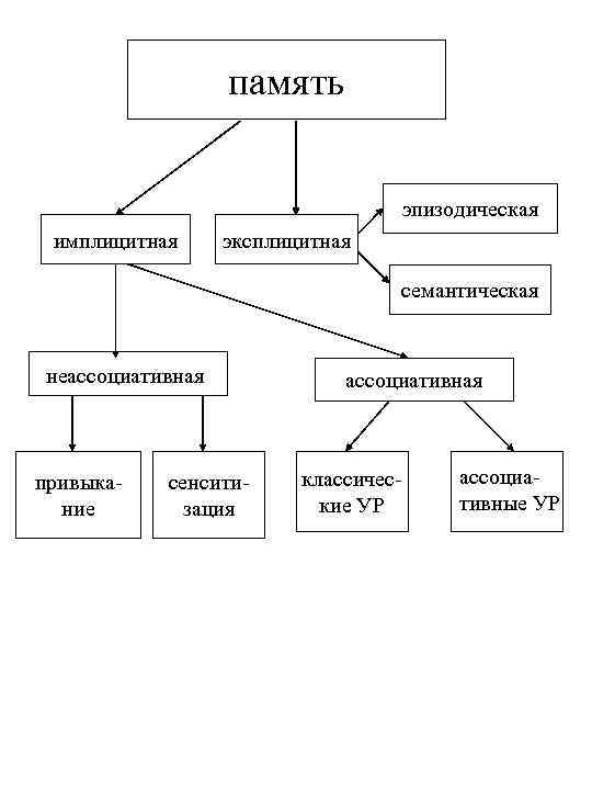 память эпизодическая имплицитная эксплицитная семантическая неассоциативная привыкание сенситизация ассоциативная классические УР ассоциативные УР 