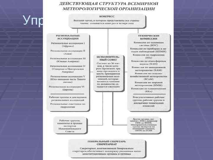 Функции специализированной организации