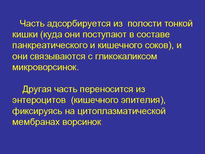 Часть адсорбируется из полости тонкой кишки (куда они поступают в составе панкреатического и кишечного