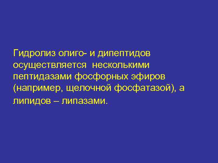 Гидролиз олиго- и дипептидов осуществляется несколькими пептидазами фосфорных эфиров (например, щелочной фосфатазой), а липидов