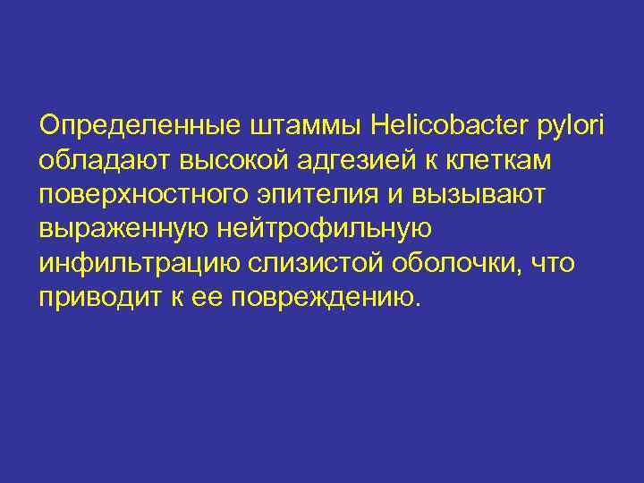 Определенные штаммы Helicobacter pylori обладают высокой адгезией к клеткам поверхностного эпителия и вызывают выраженную