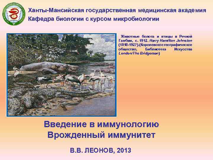 Ханты-Мансийская государственная медицинская академия Кафедра биологии с курсом микробиологии Животные болота и птицы в