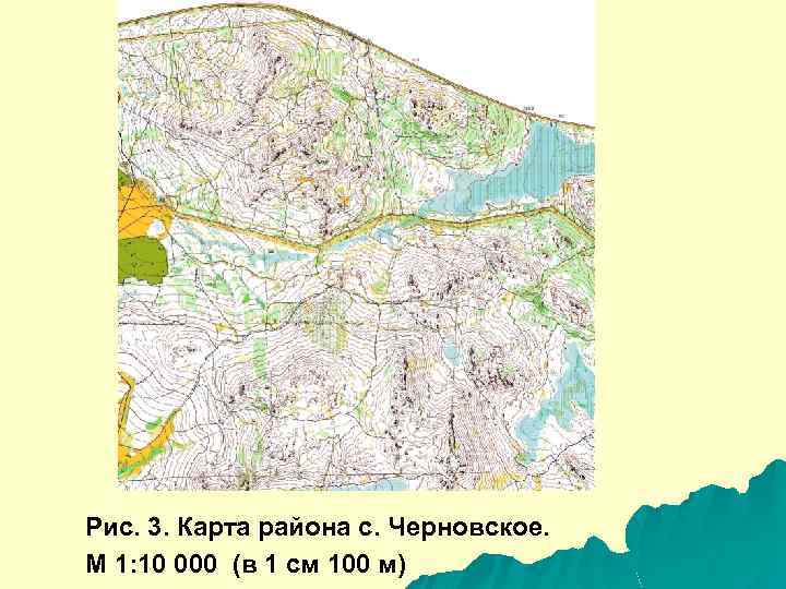 Рис. 3. Карта района с. Черновское. М 1: 10 000 (в 1 см 100