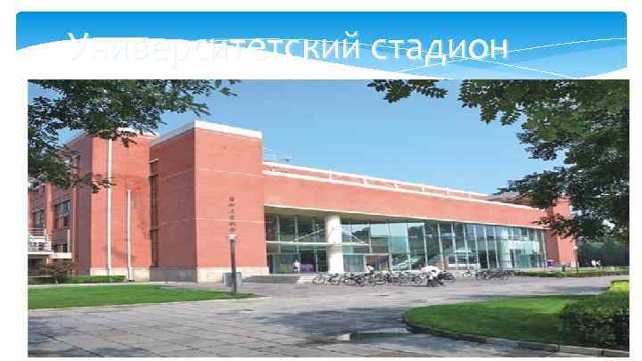 Университетский стадион 