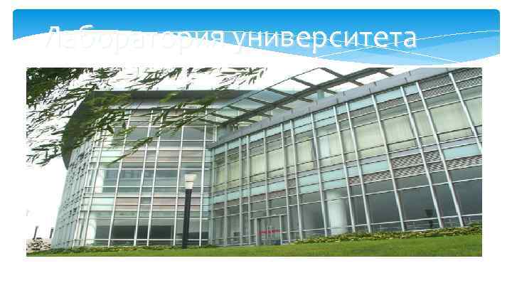 Лаборатория университета 
