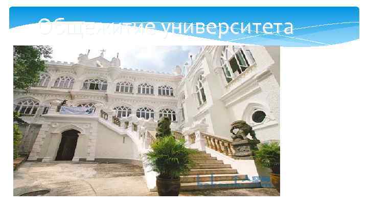 Общежитие университета 