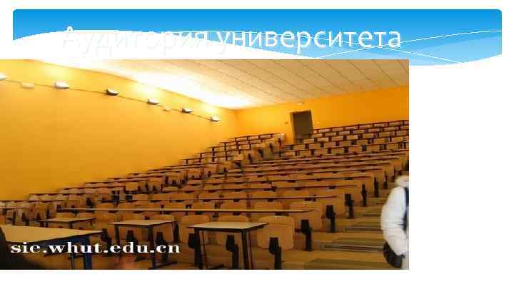 Аудитория университета 