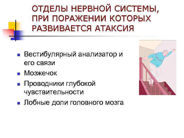 ОТДЕЛЫ НЕРВНОЙ СИСТЕМЫ, ПРИ ПОРАЖЕНИИ КОТОРЫХ РАЗВИВАЕТСЯ АТАКСИЯ n n Вестибулярный анализатор и его