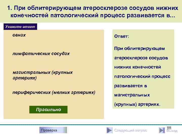 1. При облитерирующем атеросклерозе сосудов нижних конечностей патологический процесс развивается в. . . Укажите