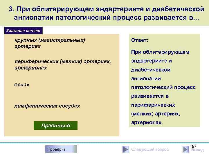 3. При облитерирующем эндартериите и диабетической ангиопатии патологический процесс развивается в. . . Укажите