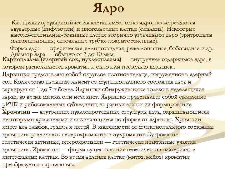 Ядро Как правило, эукариотическая клетка имеет одно ядро, но встречаются двуядерные (инфузории) и многоядерные