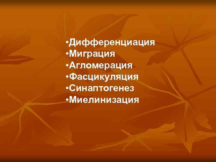  • Дифференциация • Миграция • Агломерация • Фасцикуляция • Синаптогенез • Миелинизация 