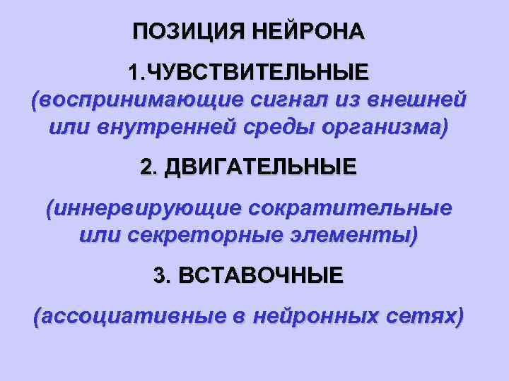 ПОЗИЦИЯ НЕЙРОНА 1. ЧУВСТВИТЕЛЬНЫЕ (воспринимающие сигнал из внешней или внутренней среды организма) 2. ДВИГАТЕЛЬНЫЕ