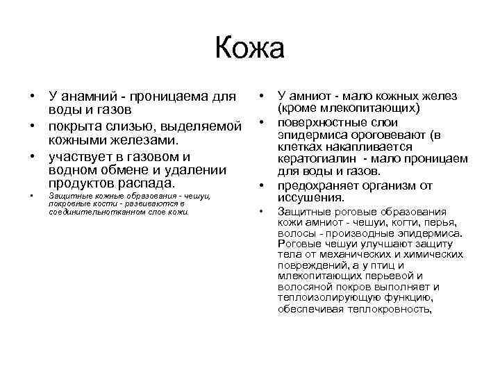 Кожа • У анамний - проницаема для • воды и газов • покрыта слизью,