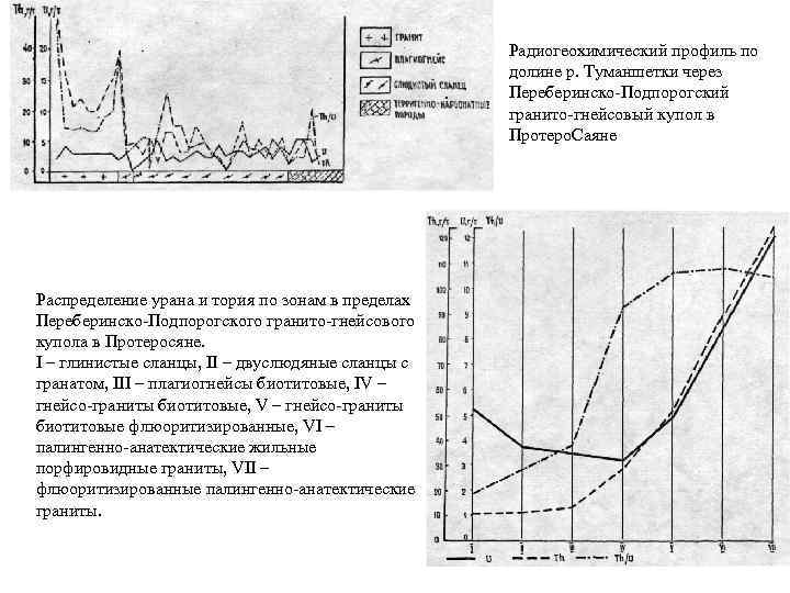 Радиогеохимический профиль по долине р. Туманшетки через Переберинско-Подпорогский гранито-гнейсовый купол в Протеро. Саяне Распределение