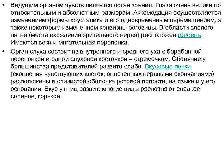  • Ведущим органом чувств является орган зрения. Глаза очень велики по относительным и