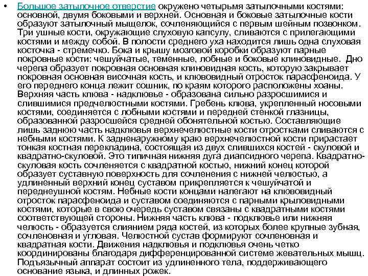 • Большое затылочное отверстие окружено четырьмя затылочными костями: основной, двумя боковыми и верхней.