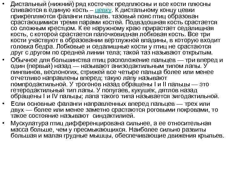  • Дистальный (нижний) ряд косточек предплюсны и все кости плюсны сливаются в единую