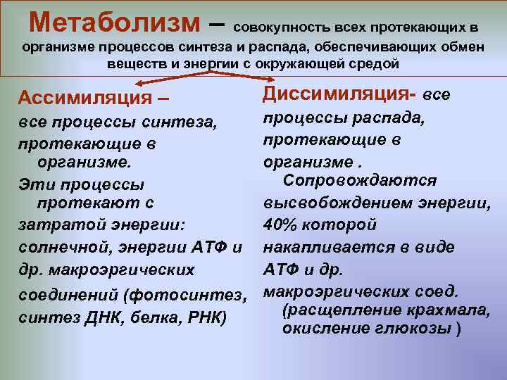 Метаболизм – совокупность всех протекающих в организме процессов синтеза и распада, обеспечивающих обмен веществ