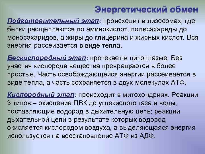 Энергетический обмен Подготовительный этап: происходит в лизосомах, где белки расщепляются до аминокислот, полисахариды до