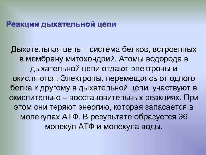 Реакции дыхательной цепи Дыхательная цепь – система белков, встроенных в мембрану митохондрий. Атомы водорода