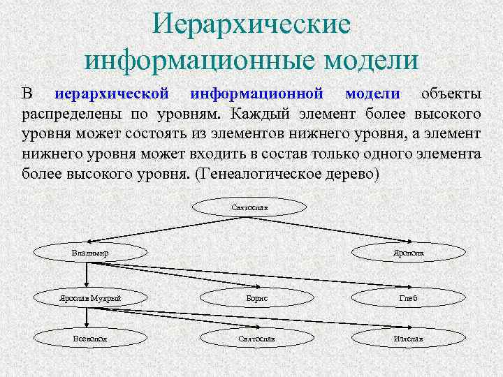 Информационная модель группы. Иерархическая информационная модель. Иерархическая информационная модель пример. Иерархия информационного моделирования. Модель распределения объектов.