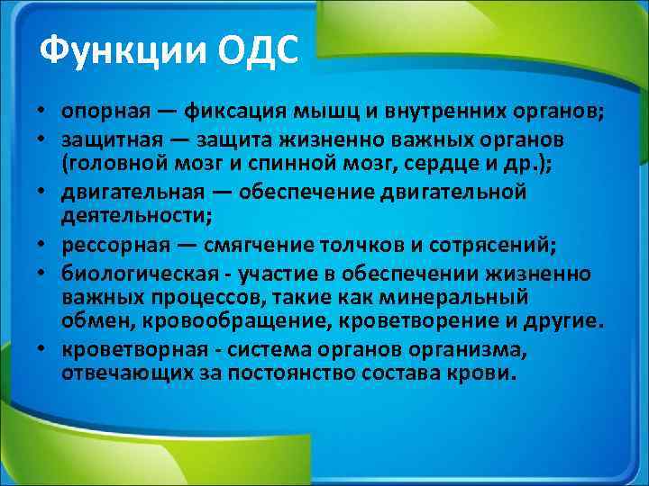 Функции ОДС • опорная — фиксация мышц и внутренних органов; • защитная — защита