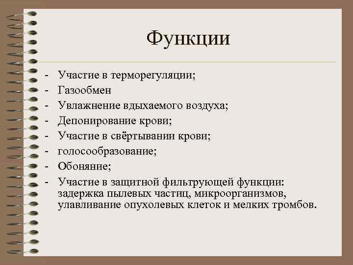 Функции - Участие в терморегуляции; Газообмен Увлажнение вдыхаемого воздуха; Депонирование крови; Участие в свёртывании