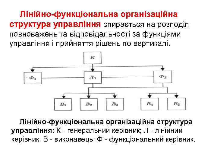 Лінійно-функціональна організаційна структура управління спирається на розподіл повноважень та відповідальності за функціями управління і