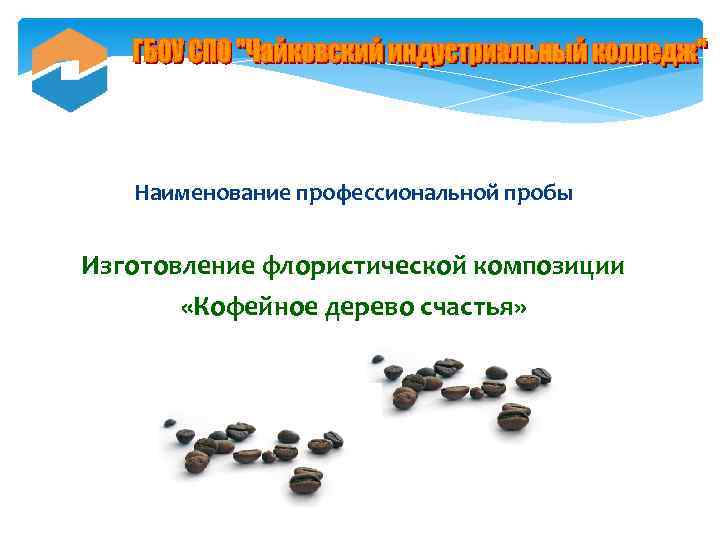 Наименование профессиональной пробы Изготовление флористической композиции «Кофейное дерево счастья» 