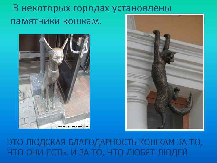 В некоторых городах установлены памятники кошкам. ЭТО ЛЮДСКАЯ БЛАГОДАРНОСТЬ КОШКАМ ЗА ТО, ЧТО ОНИ