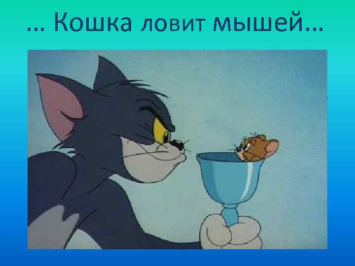 … Кошка ловит мышей… 