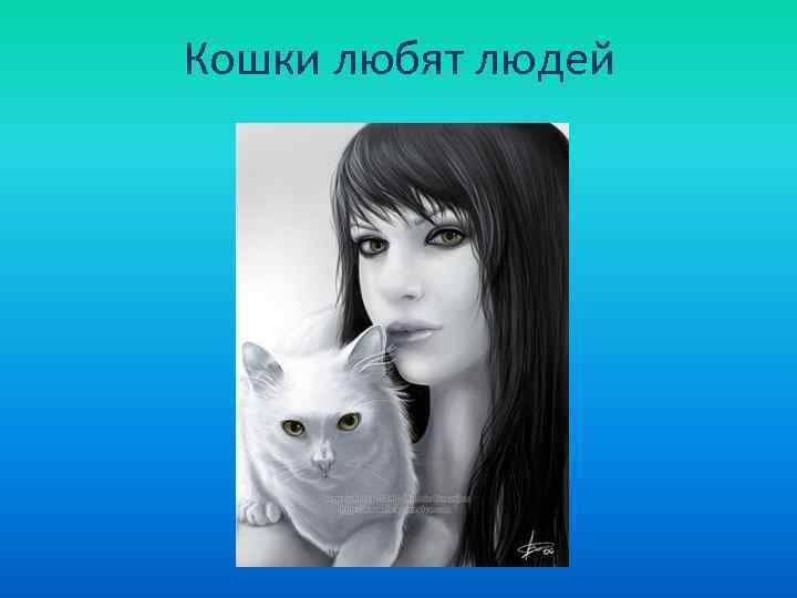 Кошки любят людей 