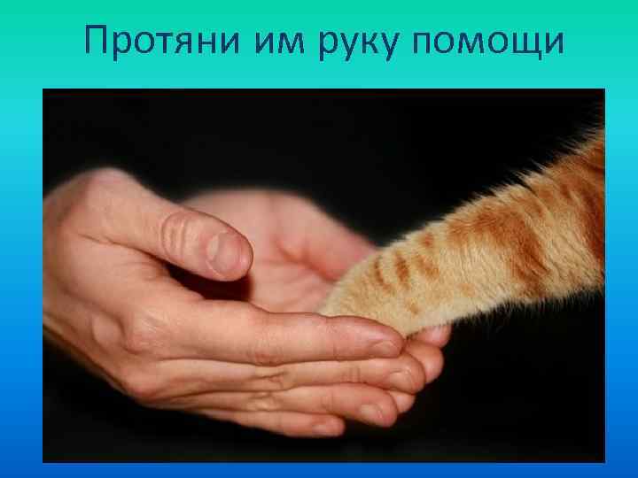 Протяни им руку помощи 