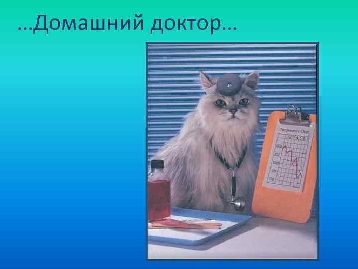 …Домашний доктор… 