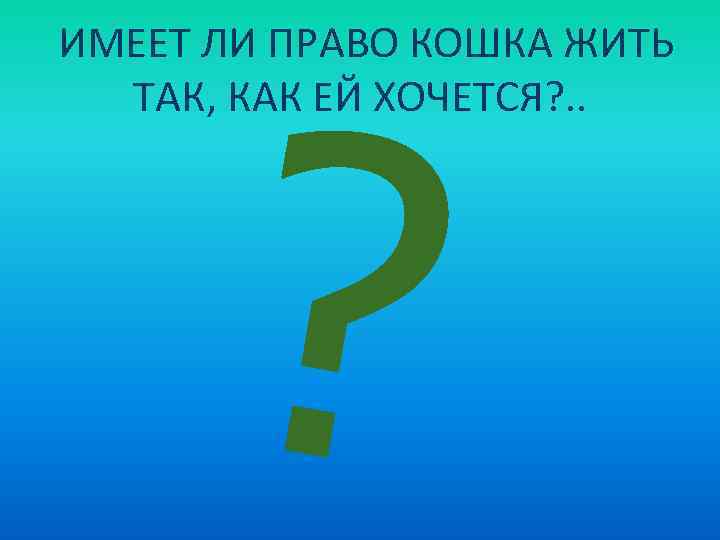 ? ИМЕЕТ ЛИ ПРАВО КОШКА ЖИТЬ ТАК, КАК ЕЙ ХОЧЕТСЯ? . . 