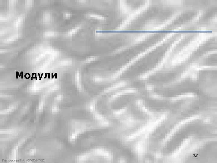 Модули 30 Павловская Т. А. (СПб. ГУИТМО) 