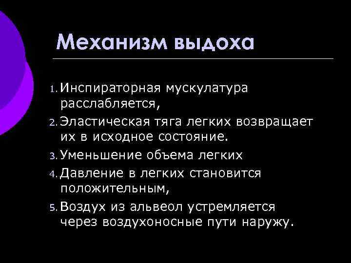 Механизм выдоха 1. Инспираторная мускулатура расслабляется, 2. Эластическая тяга легких возвращает их в исходное
