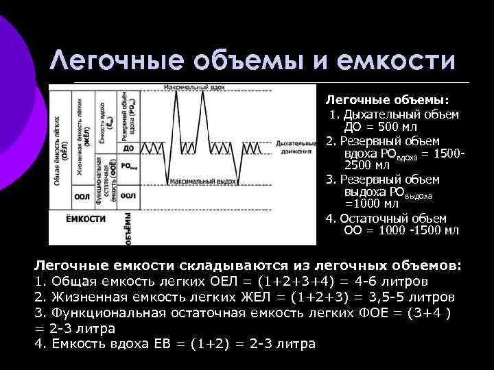 Легочные объемы и емкости Легочные объемы: 1. Дыхательный объем ДО = 500 мл 2.