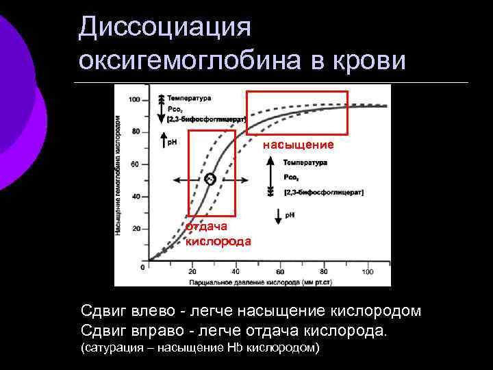 Диссоциация оксигемоглобина в крови насыщение отдача кислорода Сдвиг влево - легче насыщение кислородом Сдвиг