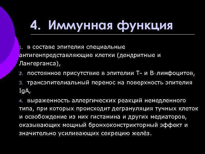 4. Иммунная функция в составе эпителия специальные антигенпредставляющие клетки (дендритные и Лангерганса), 1. 2.