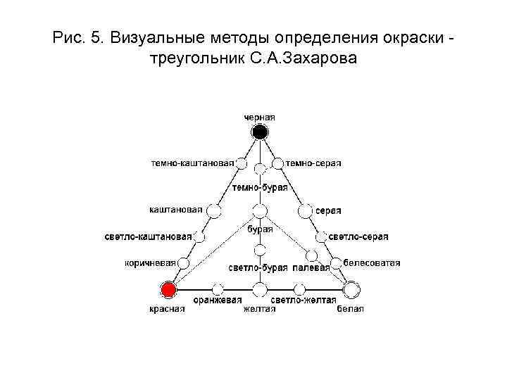Рис. 5. Визуальные методы определения окраски треугольник С. А. Захарова 