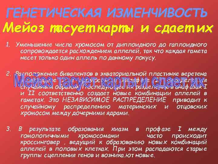 ГЕНЕТИЧЕСКАЯ ИЗМЕНЧИВОСТЬ Мейоз тасует карты и сдает их 1. Уменьшение числа хромосом от диплоидного