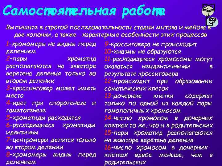 Самостоятельная работа Выпишите в строгой последовательности стадии митоза и мейоза в две колонки, а